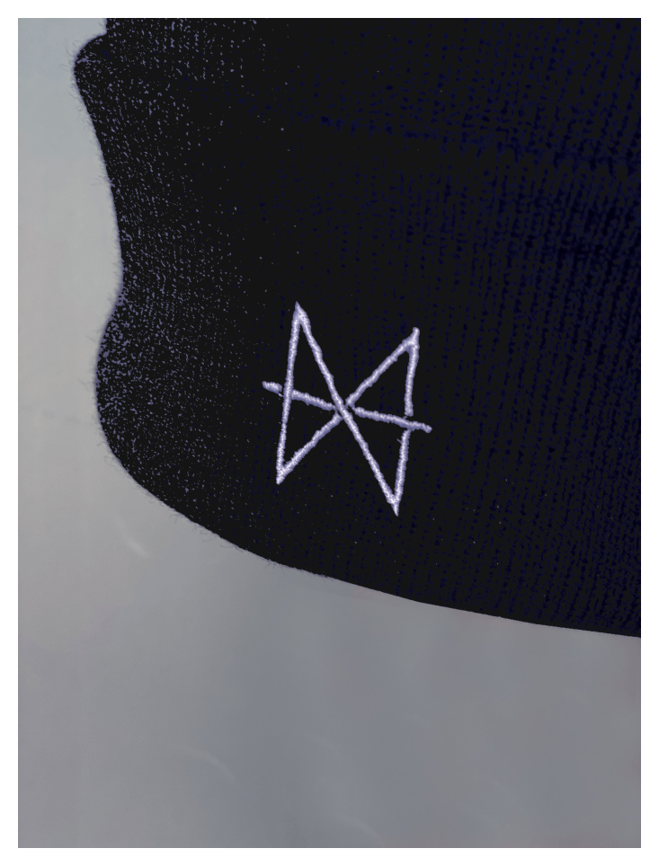 HAEVN Beanie | Black | Embroidered logo - HAEVN Official Store