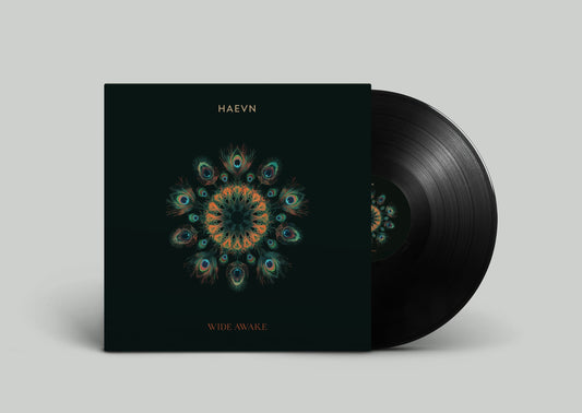Wide Awake Vinyl - HAEVN Official Store