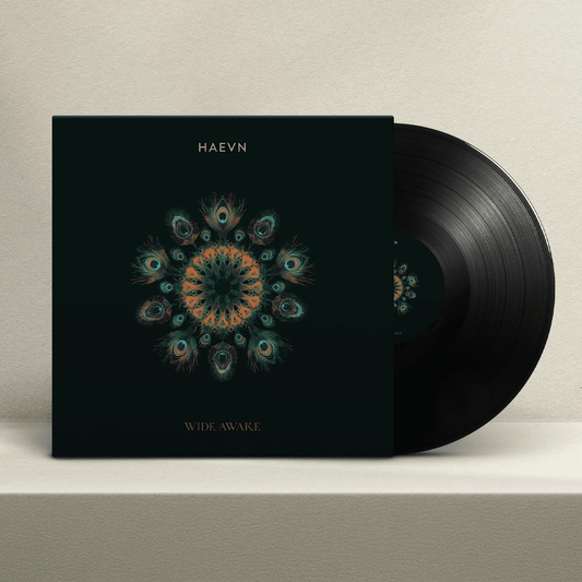 Wide Awake Vinyl - HAEVN Official Store